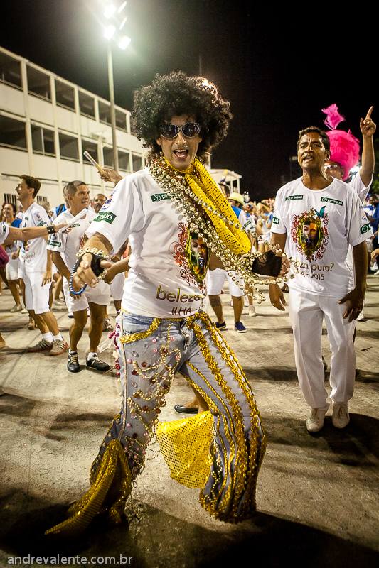 Carnaval 2015 Rio de Janeiro Mangueira União da Ilha Mocidade Imperio da Tijuca Unidos Cubango Samba